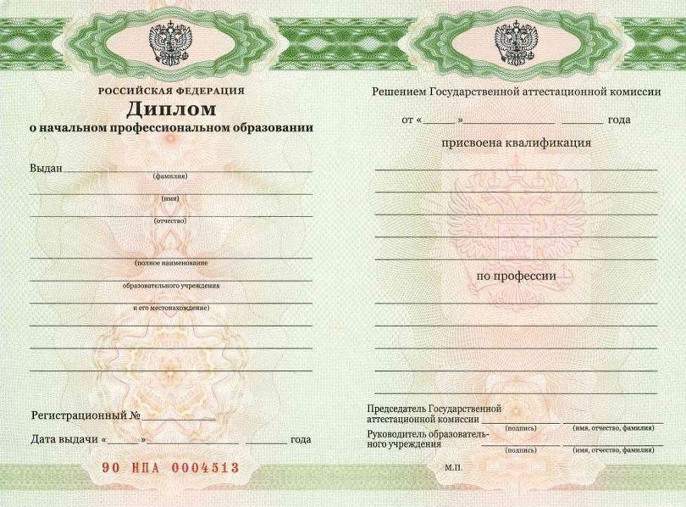 Диплом ПТУ с 2011 по 2026 годы